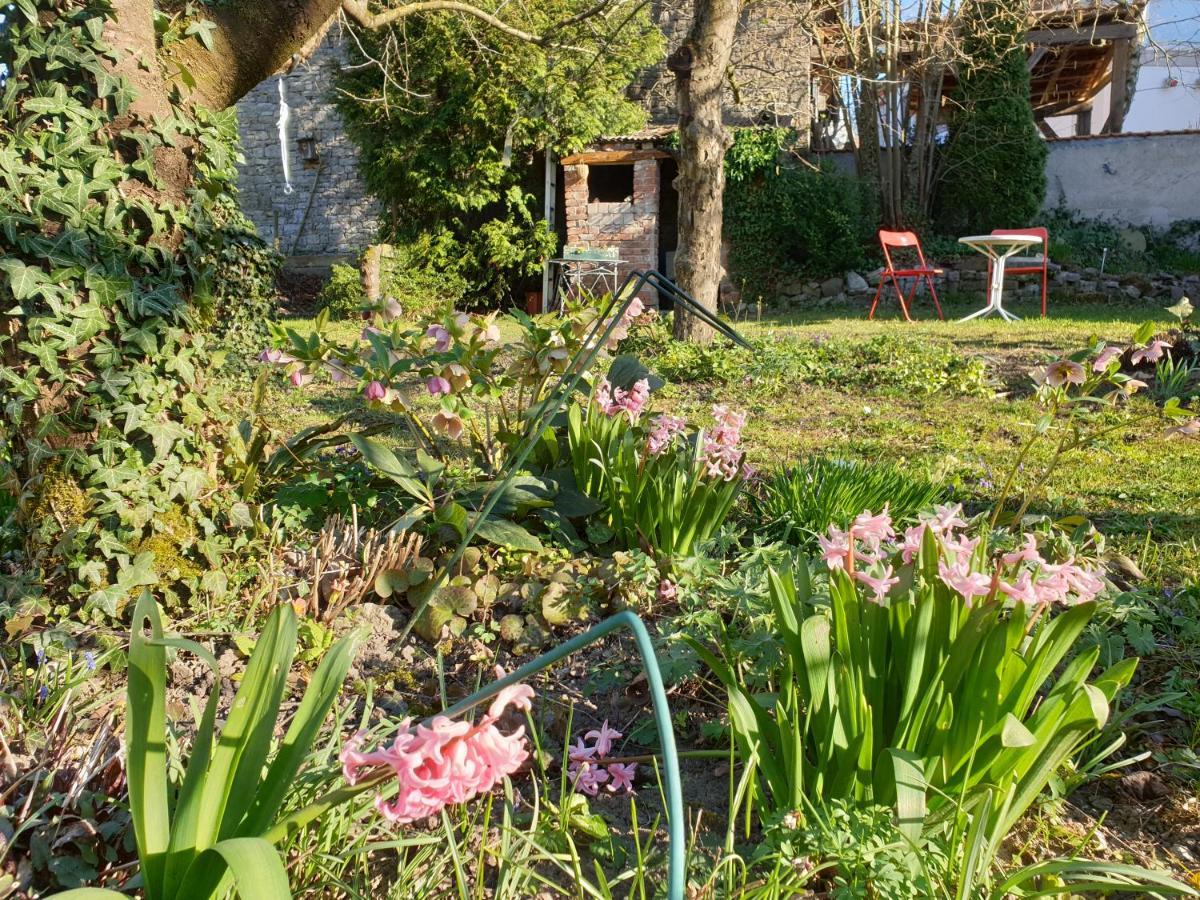 Unser Obervolkacher Ferienhaus-Einfach Gemutlich! Luaran gambar